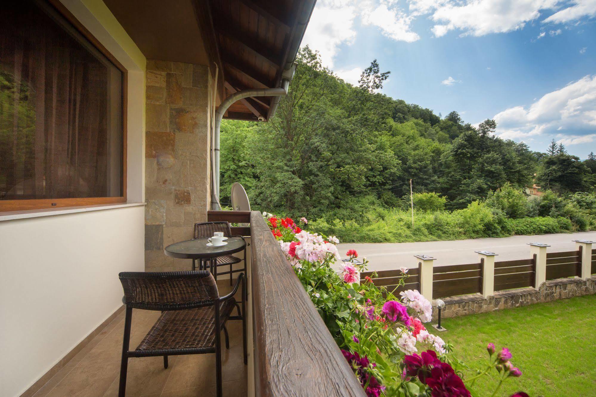Guest House Vitora Ribaritsa Exterior foto